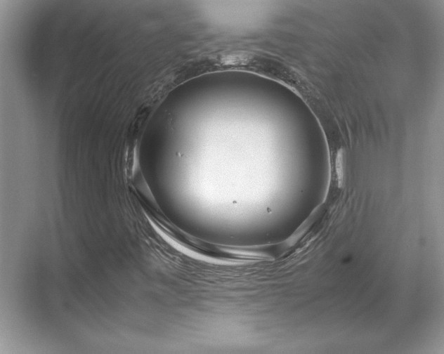 X0000071791443200607071443
