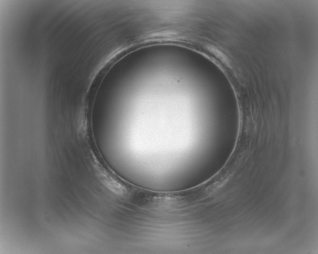 X0000071791458200607071443