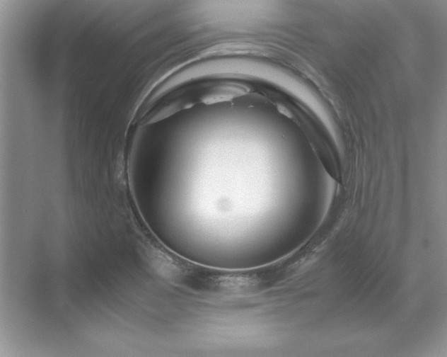 X0000071791465200607071443