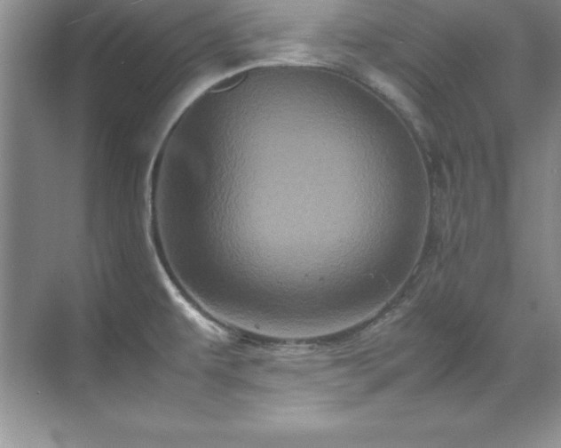X0000071791479200607071443