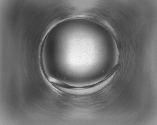 X0000071791483200607071443