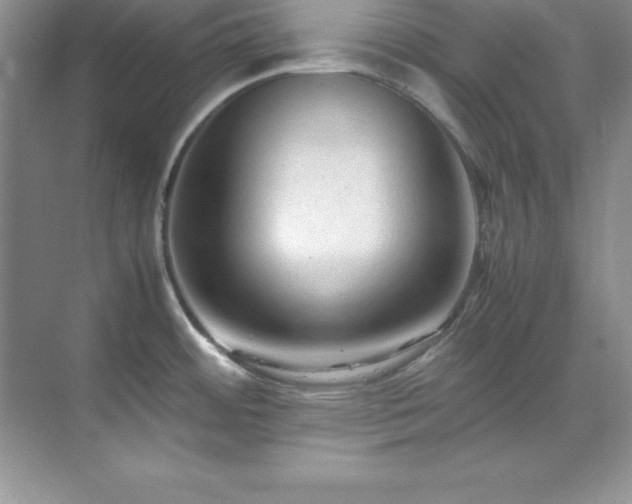 X0000071791484200607071443