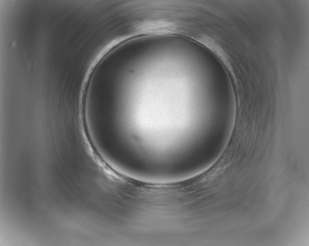X0000071791488200607071442