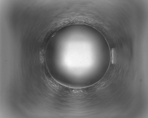 X0000071791491200607071442