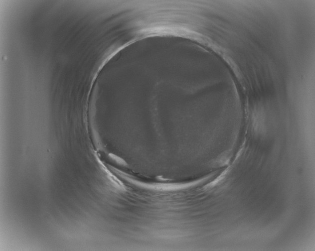 X0000071791529200607071442