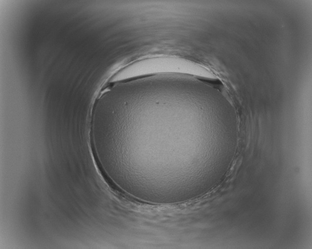 X0000071790003200607150133