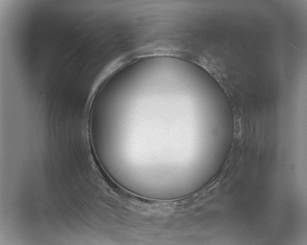 X0000071790004200607150133