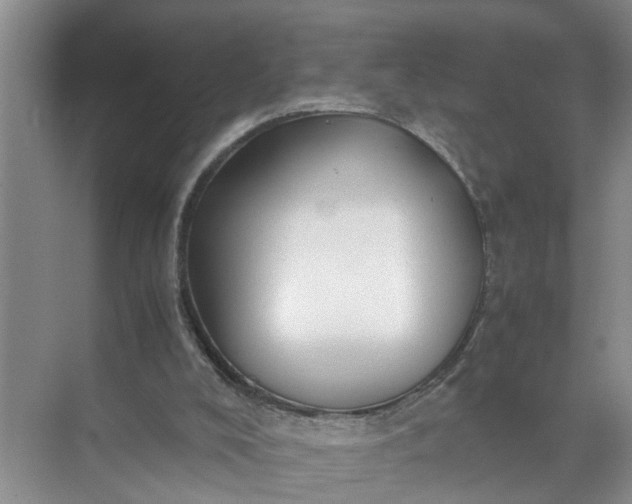 X0000071790008200607150133