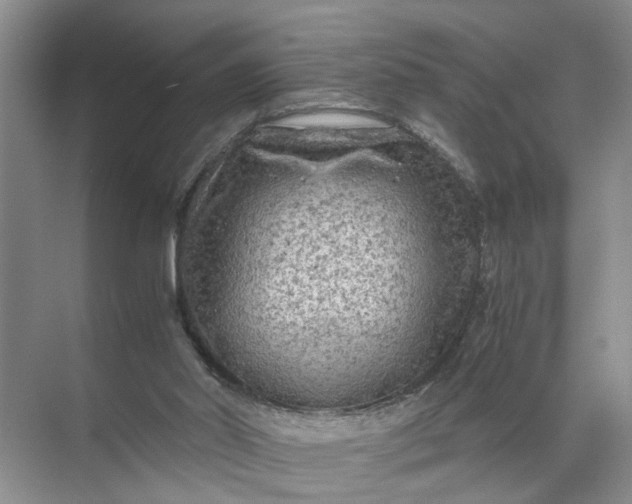 X0000071790014200607150132