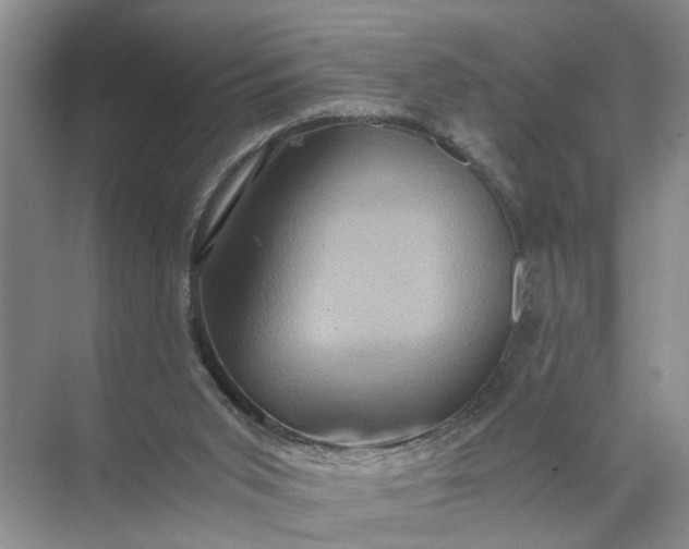 X0000071790015200607150132