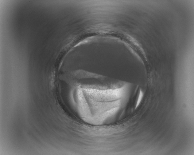 X0000071790018200607150132