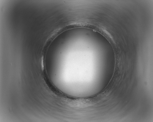 X0000071790020200607150132
