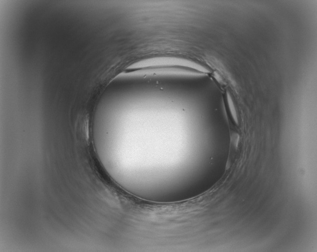 X0000071790021200607150132