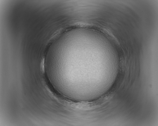 X0000071790024200607150132