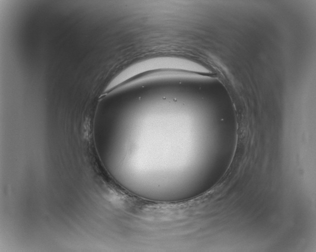 X0000071790025200607150132
