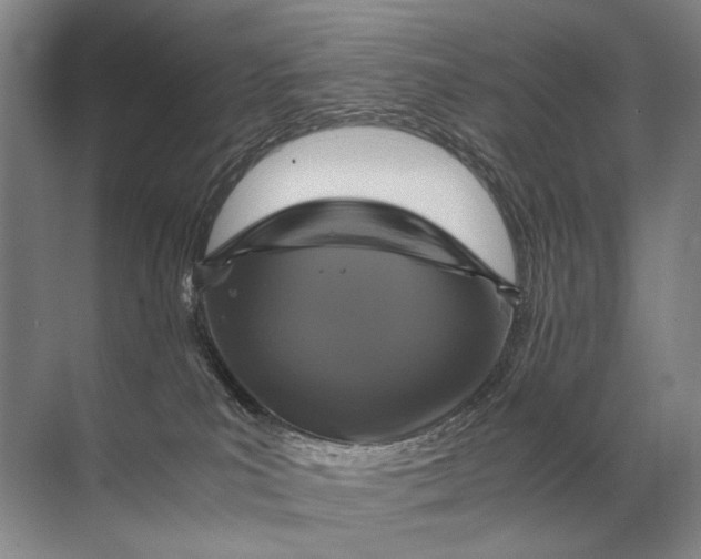 X0000071790039200607150132