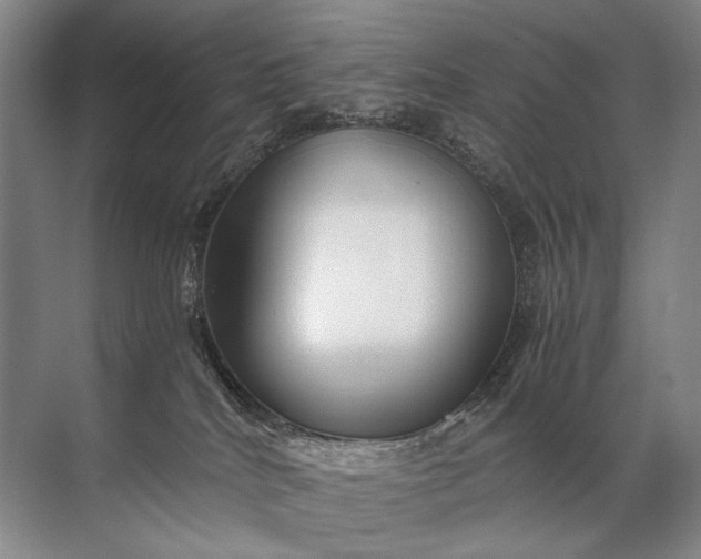 X0000071790040200607150132