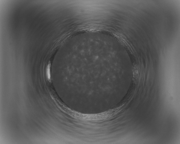 X0000071790046200607150132