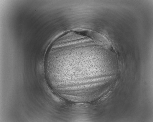 X0000071790050200607150131