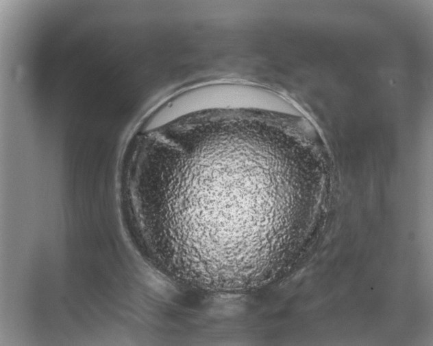 X0000071790055200607150131