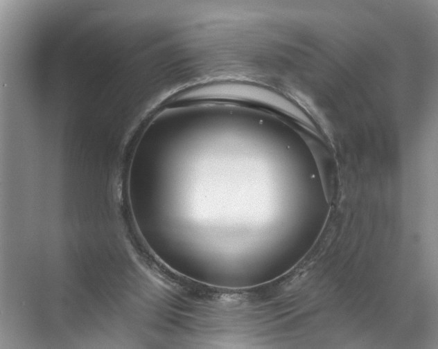 X0000071790060200607150131