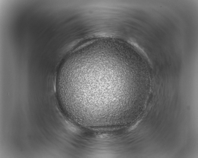 X0000071790062200607150131