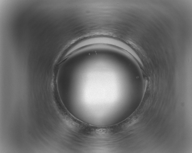 X0000071790064200607150131