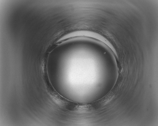 X0000071790072200607150132