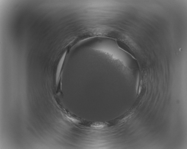 X0000071790076200607150132