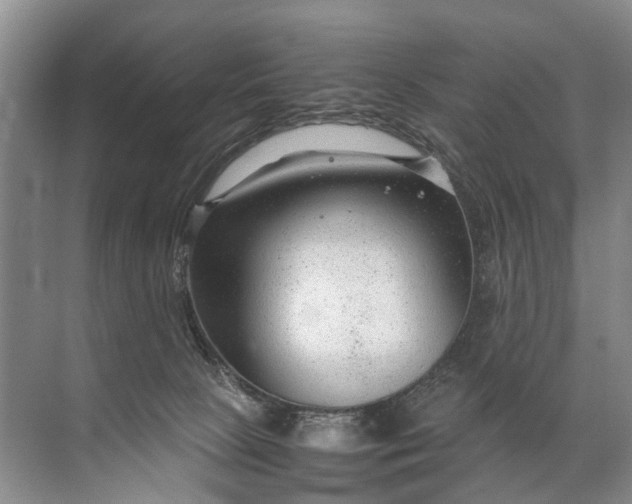 X0000071790081200607150132
