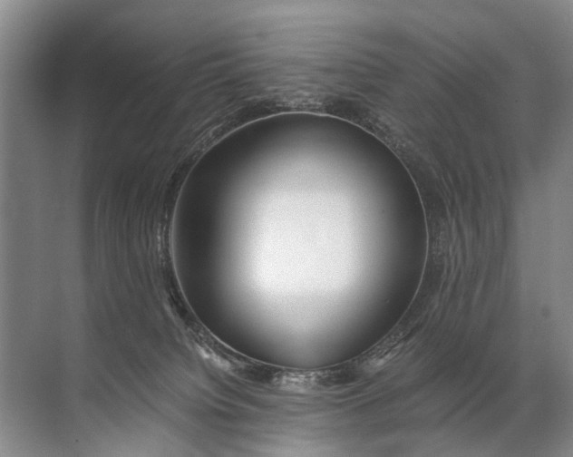 X0000071790084200607150132