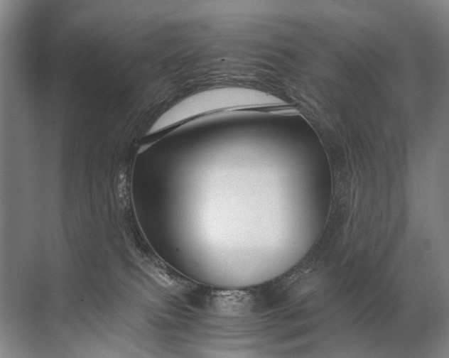 X0000071790087200607150132