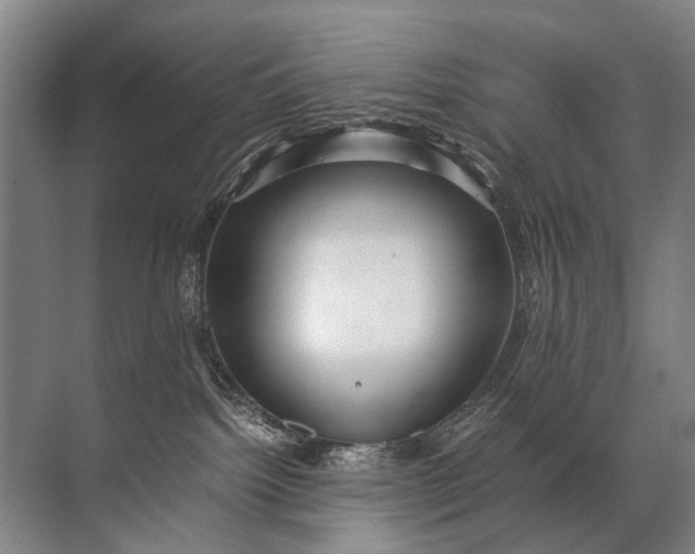 X0000071790092200607150132