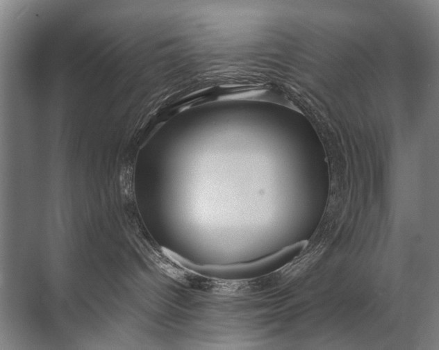 X0000071790096200607150132