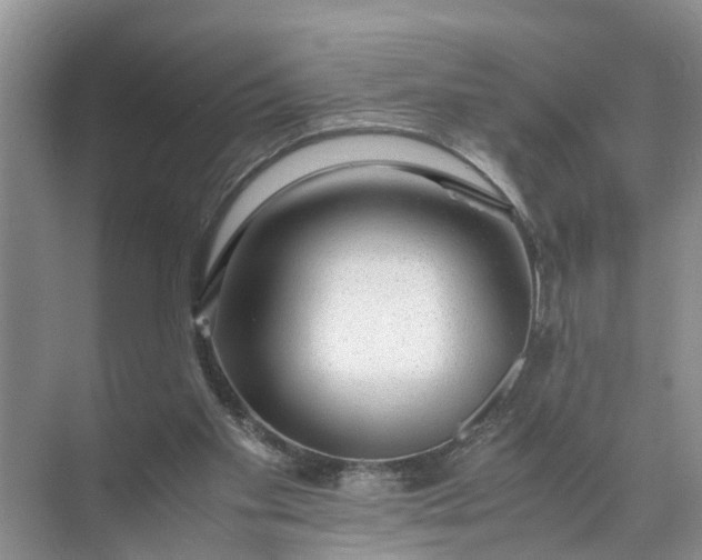 X0000071790109200607150131