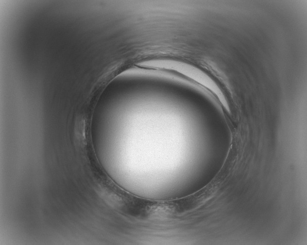 X0000071790115200607150131