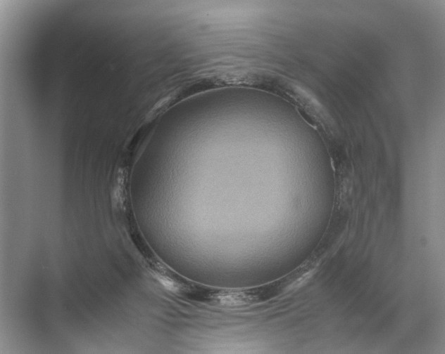X0000071790121200607150131