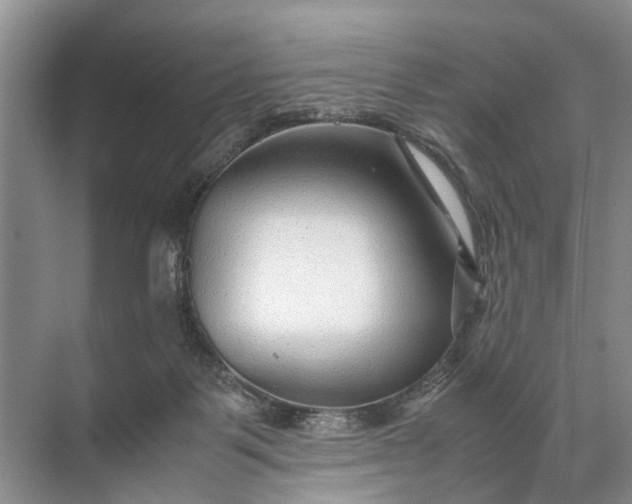 X0000071790123200607150131