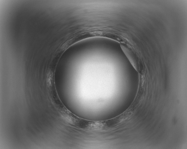 X0000071790125200607150131