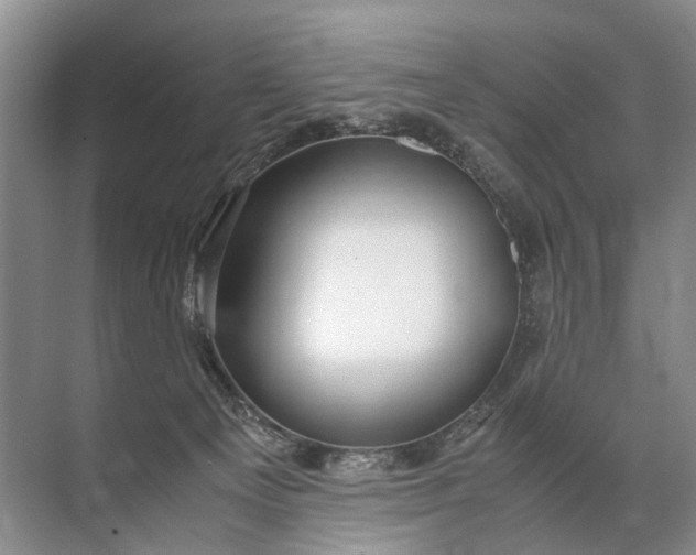 X0000071790129200607150131