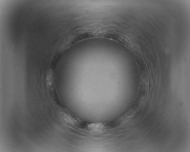 X0000071790133200607150131