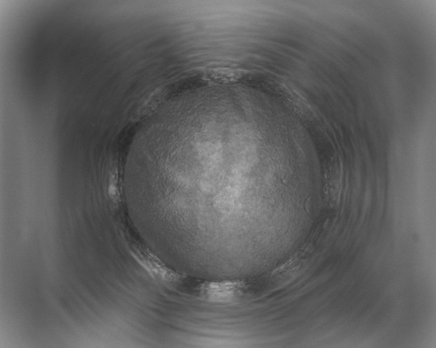 X0000071790134200607150130