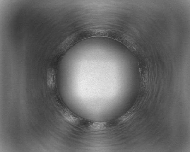 X0000071790138200607150130