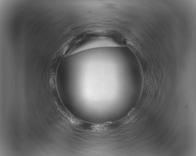X0000071790141200607150130