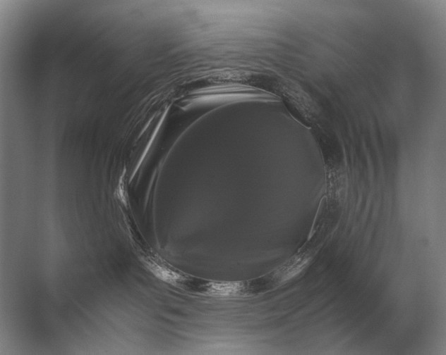 X0000071790143200607150130