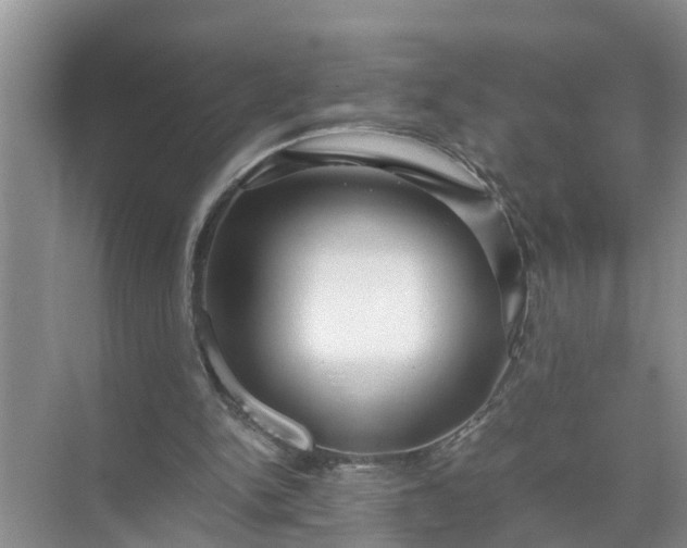 X0000071790150200607150130