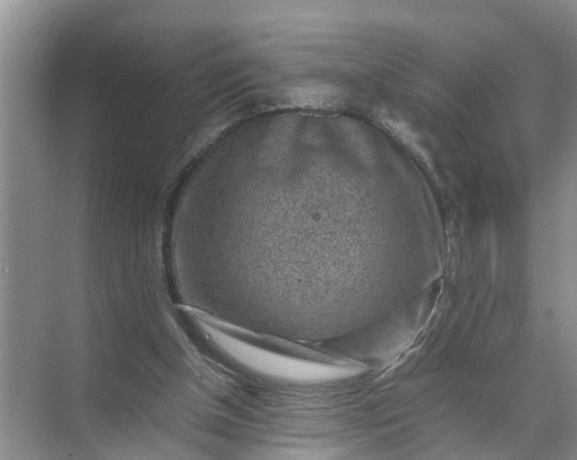 X0000071790154200607150130