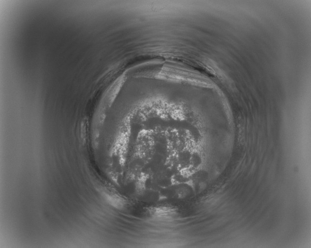 X0000071790165200607150130
