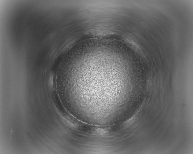 X0000071790166200607150130
