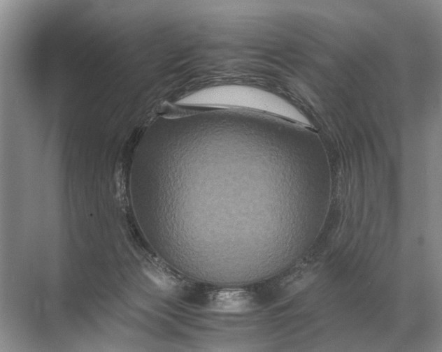 X0000071790173200607150130